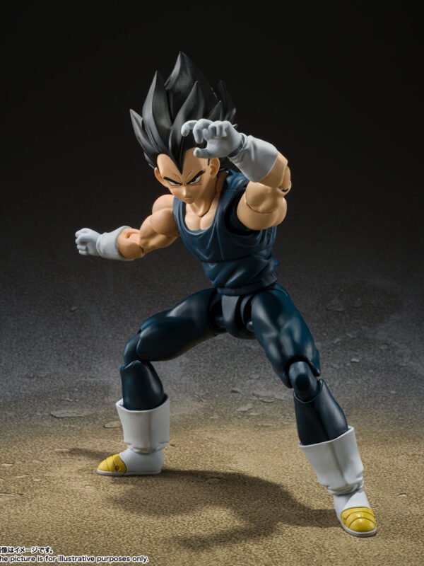 SHF Veg 2
